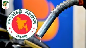 জ্বালানি নিরাপত্তায় তিন মাসের মজুত সক্ষমতা চায় বিশেষ কমিটি  